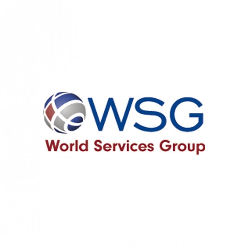 World Services Group (WSG)